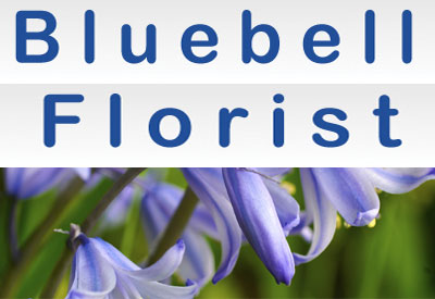 Bluebells Florist 